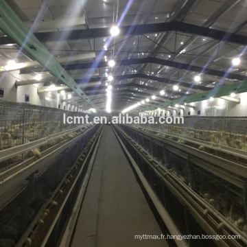 Automatic Broiler Battery Cage for 10000 Birds